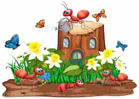 Bezpłatny wektor scena z mrówkami i motylami w ogrodzie