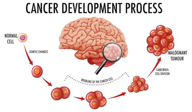 Bezpłatny wektor schemat przedstawiający proces rozwoju raka