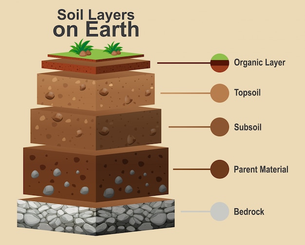 Bezpłatny wektor schemat przedstawiający różne warstwy gleby