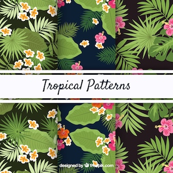 Set tropikalni lato wzory z różnymi roślinami