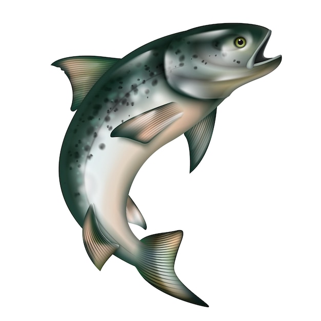 Skoki ryb realistyczny obiekt na białym tle ilustracji wektorowych