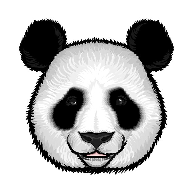 Śliczna puszysta panda twarz