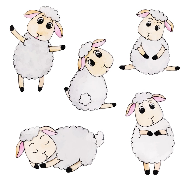 Śliczne Akwarela Jesienna Kolekcja owiec