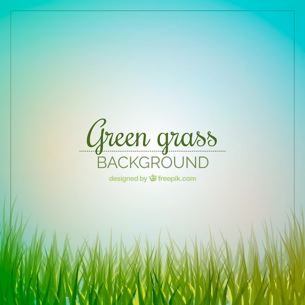 Bezpłatny wektor Śliczne tło zielonej trawie i nieba