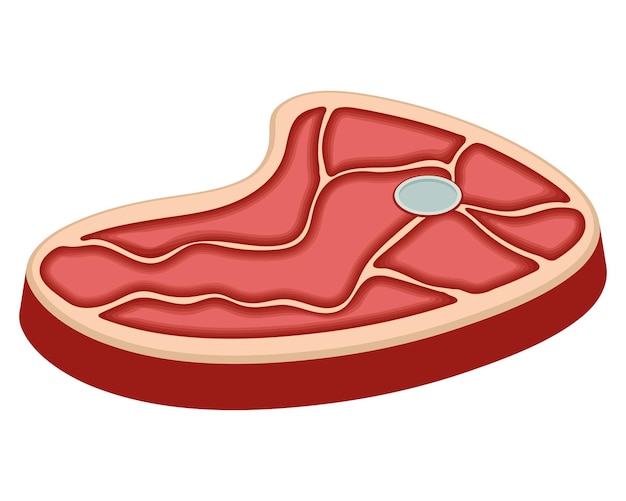 Bezpłatny wektor stek wołowy mięso rzeźne