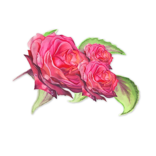 Streszczenie Bukiet Kwiatów Różowy Zielony Akwarela Ilustracja Tła Wysoka Rozdzielczość Darmowe zdjęcie