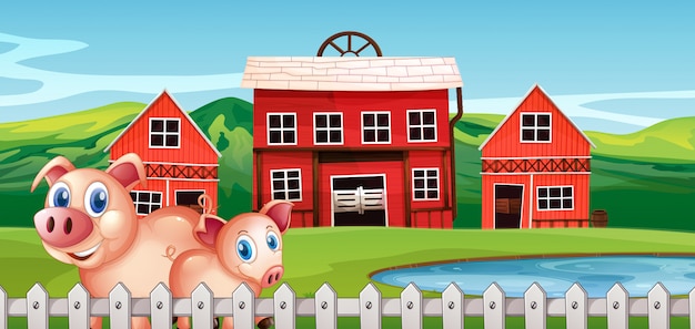 Świnia na wiejskiej farmie