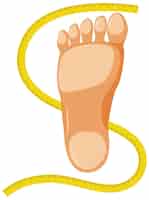 Bezpłatny wektor symbol stopy z centymetrem