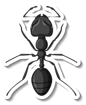 Szablon naklejki z bliska czerwonej mrówki na białym tle