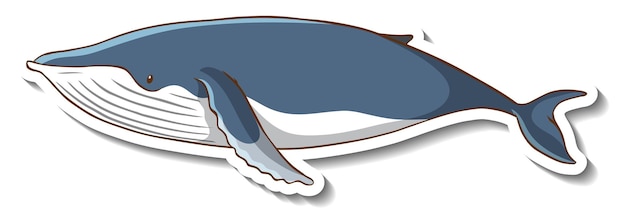 Bezpłatny wektor szablon naklejki z postacią z kreskówki wieloryba na białym tle