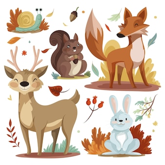Szczegółowa kolekcja jesiennych zwierząt