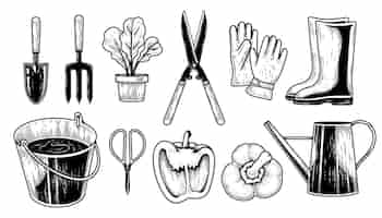 Bezpłatny wektor szkic wektor zestaw narzędzi ogrodniczych ręcznie rysowane elementy ilustracji