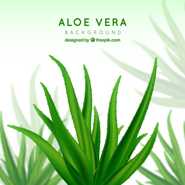 Tło Aloe vera