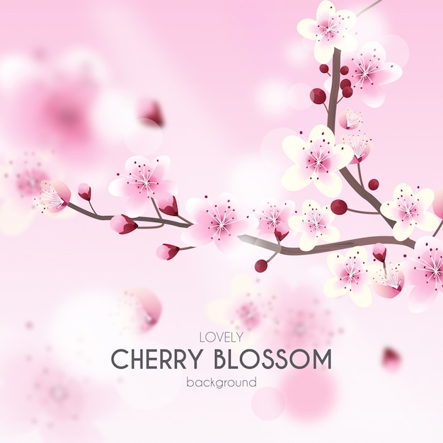 Tło Cherry Blossom