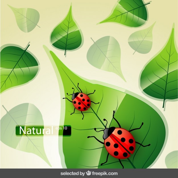 Bezpłatny plik Wektor tło natura z biedronki