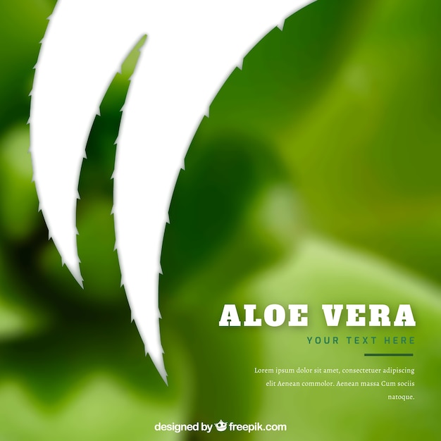 Tło Nieostre Z Sylwetką Aloe Vera