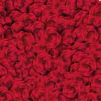 Bezpłatny wektor tło z czerwonych róż