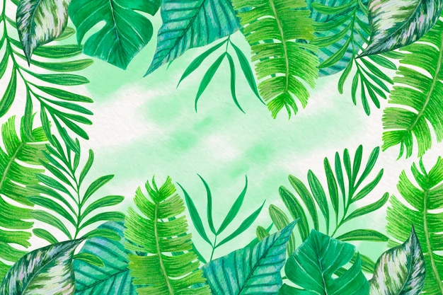 Tropikalne liście tło