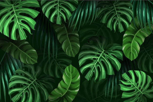 Tropikalne liście tło