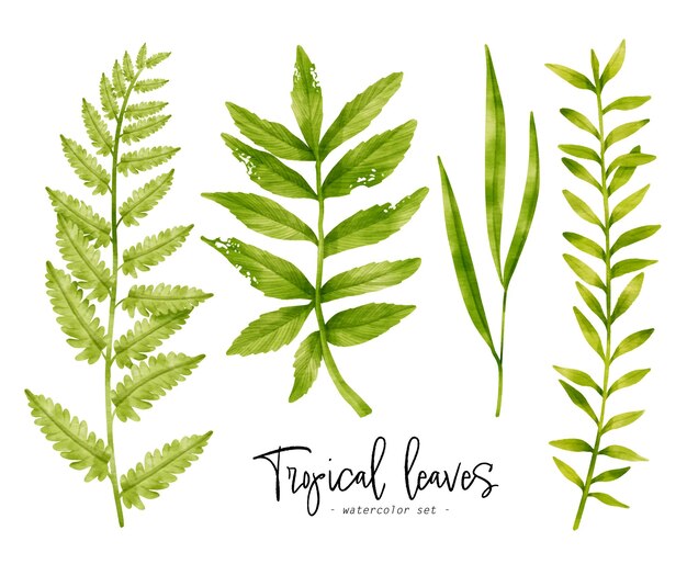 Tropikalne zielone liście akwarela ilustracja do elementu dekoracyjnego