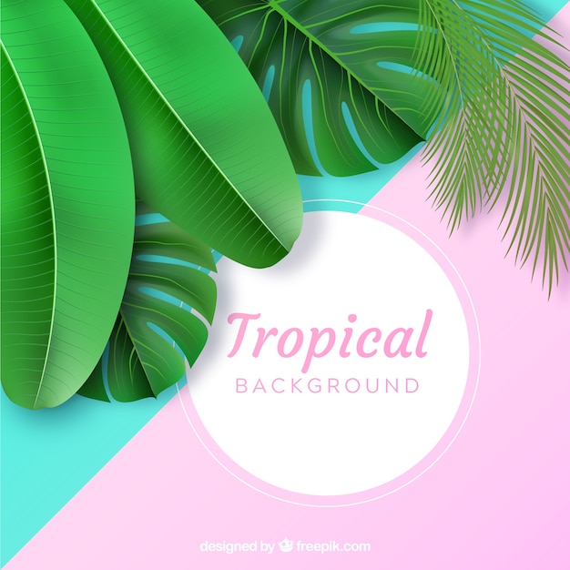 Tropikalny tło z realistycznymi roślinami