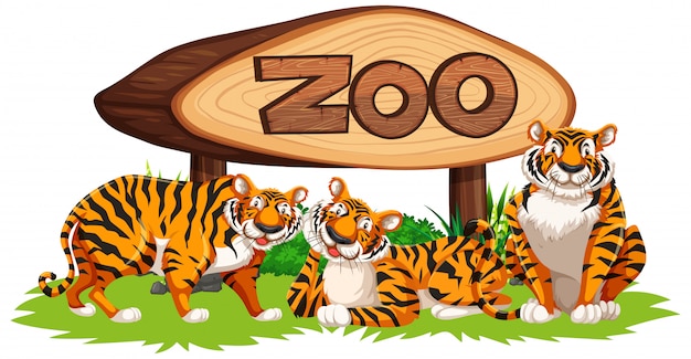 Bezpłatny wektor tygrys z zoo baner