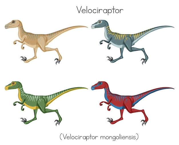 Bezpłatny wektor velociraptor w czterech kolorach