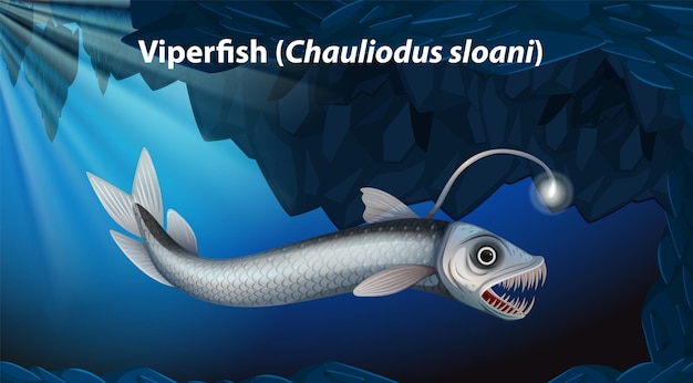 Bezpłatny wektor viperfish chauliodus sloani vector