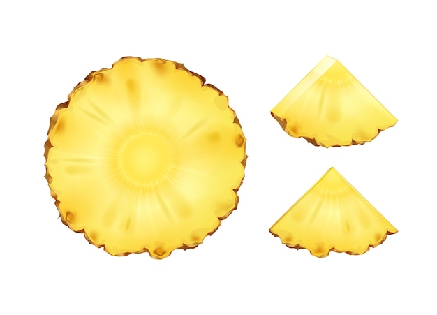 Bezpłatny wektor wektor ananas okrągłe i trójkątne plastry lub kliny na białym tle