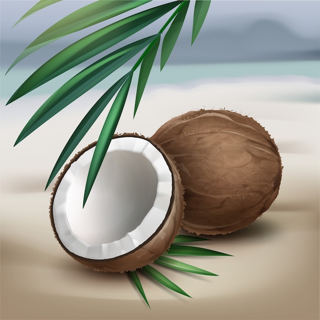 Wektor brązowy cały i pół kokos z zielonych liści palmowych na białym tle na rozmycie nadmorskiego tła