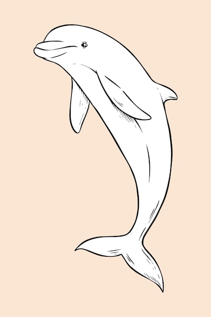 Wektor delfin vintage czarno-biały clipart