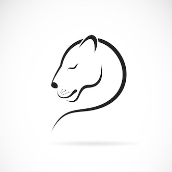 Wektor kobiecego lwa projektu na białym tle. dzikie zwierzęta. logo kobiece lew lub ikona. łatwa do edycji ilustracji wektorowych warstw.