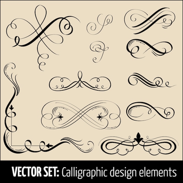 Bezpłatny wektor wektor zestaw elementów projektu kaligraficzne i dekoracji strony. eleganckie elementy do projektowania.