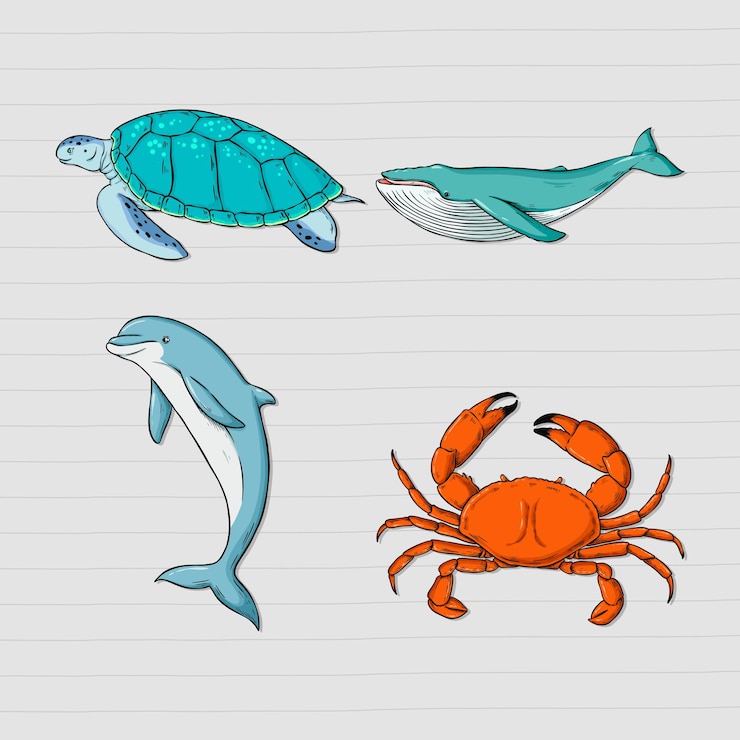 Bezpłatny plik Wektor wektorowa kolekcja naklejek ze zwierzętami morskimi kolorowe clipart