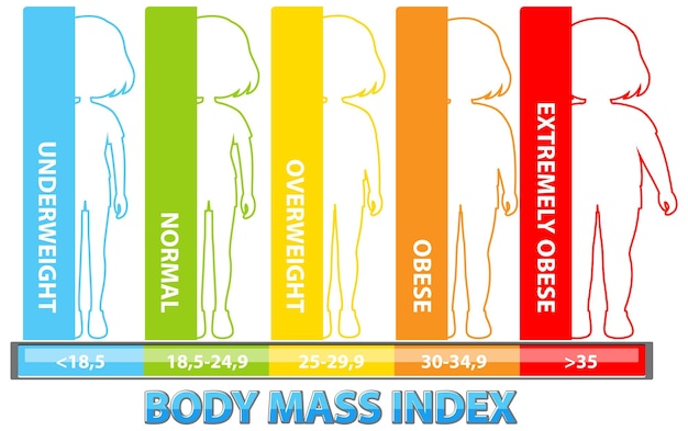 Bezpłatny wektor wykres wskaźnika masy ciała