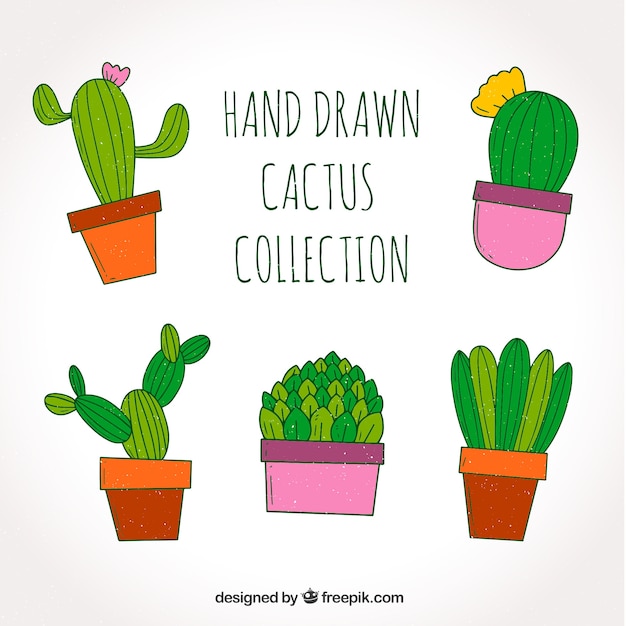 Bezpłatny wektor zabawne opakowanie kaktusa narysowanego ręcznie