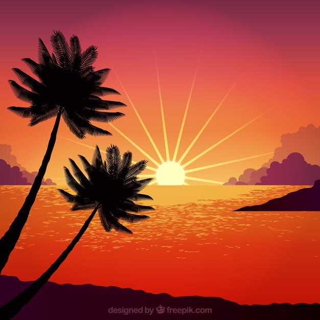 Zachód słońca z projektu drzewa palmowego
