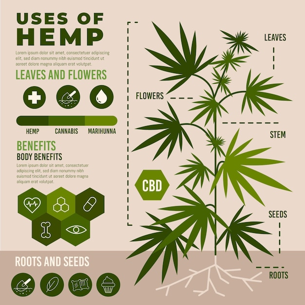 Zastosowania Infografiki Konopi