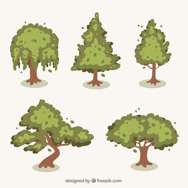 Zbieranie Zielonych Drzew Z Brązowymi Pni