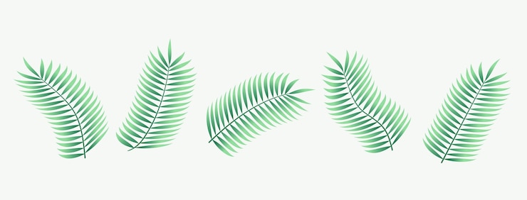 Bezpłatny plik Wektor zbiór elementów projektowych z naturalnych i świeżych liści