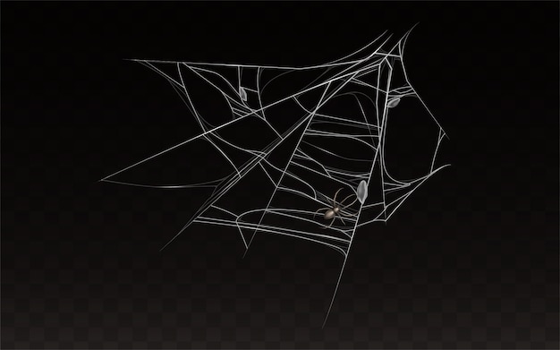 Bezpłatny wektor zbiór realistycznych cobweb z pająk na nim.