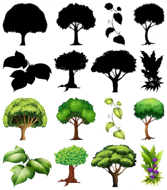 Bezpłatny wektor zbiór roślin i drzew z jego sylwetka