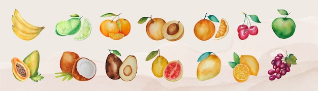 Zbiór różnych na białym tle owoców akwarela