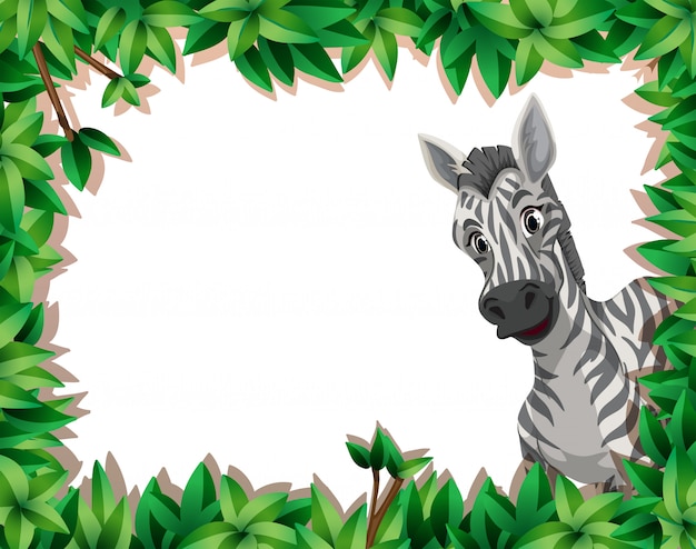 Zebra W Naturze Rama Z Copyspace