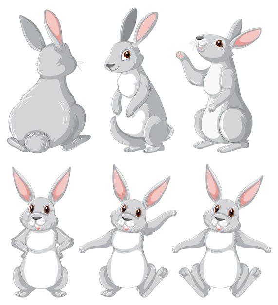 Bezpłatny wektor zestaw białych królików w różnych pozach