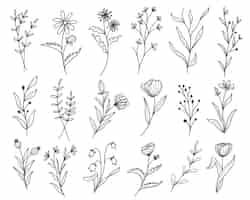 Bezpłatny wektor zestaw botanicznych liści doodle grafika liniowa wildflower