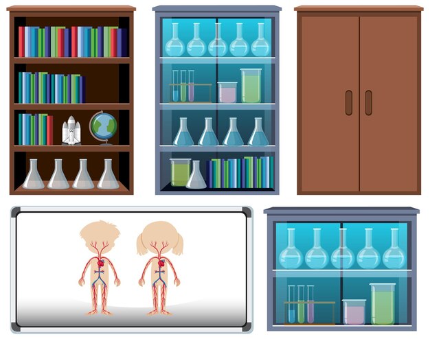 Zestaw Elementów Anatomii W Tle Sali Lekcyjnej