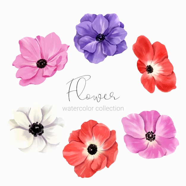 Bezpłatny wektor zestaw elementów kwiatowych kolekcja zestaw kwiatów w stylu akwareli