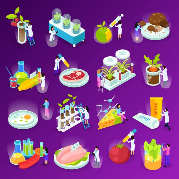 Zestaw ikon izometryczny z naukowców sztucznej żywności i sprzęt laboratoryjny na fioletowy na białym tle