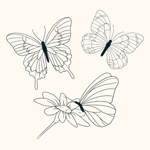 Bezpłatny wektor zestaw ilustracji motyli